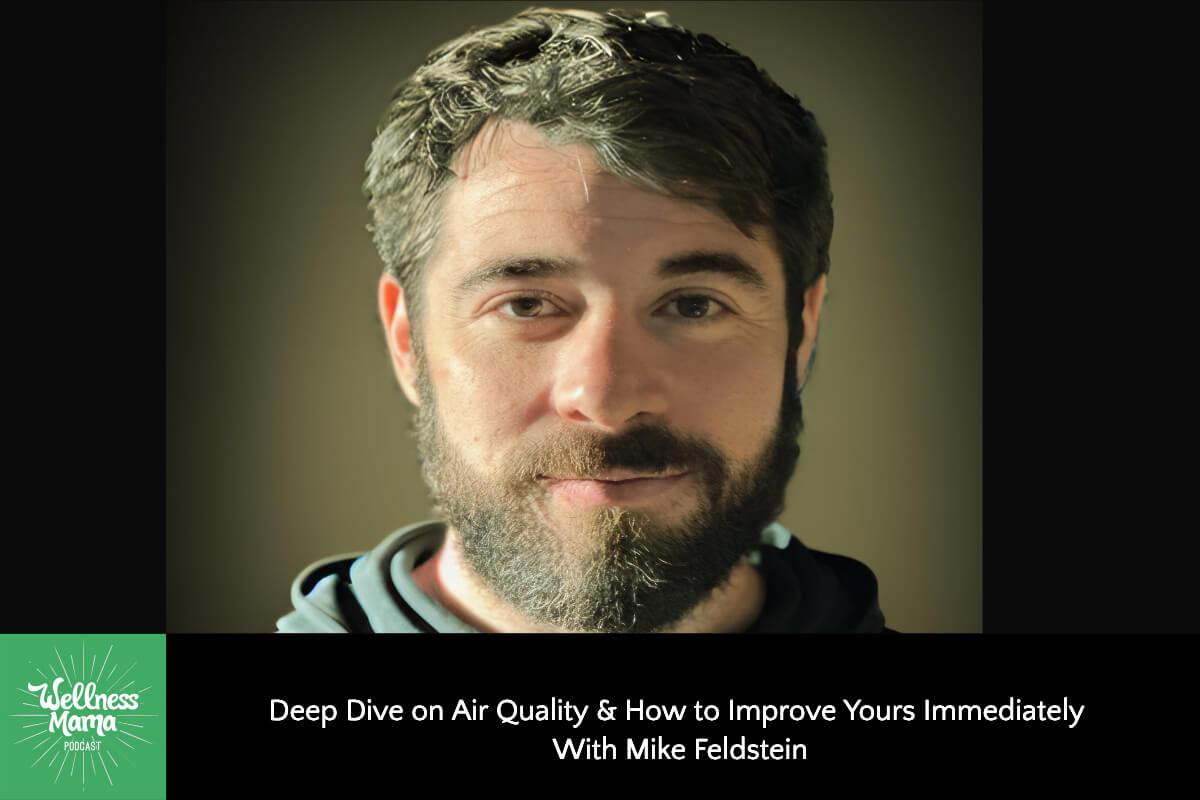 Deep Dive on Air Quality & How to Improve Yours Immediately with Mike Feldstein