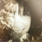 ellen Avatar