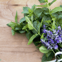 face steam herbs